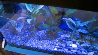 Xilong LED Aquarium Lamp  Light for Fish Tanks [upl. by Relyhcs]