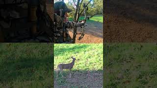 Grant gets fresh venison for the freezer [upl. by Clayberg]