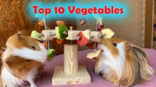 Top 10 Vegetables Your Guinea Pig Can Eat and ones to avoid guineapigguineapigfood [upl. by Hannah]