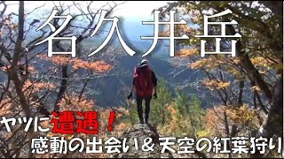 【青森県南部町】紅葉の名久井岳登山 [upl. by Niwrad]