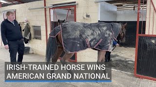 Irishtrained horse wins American Grand National [upl. by Deer]