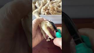 How to debone chicken feet shorts asmrsounds chickenfeet amazing sounds asmr foodvlog [upl. by Amri974]