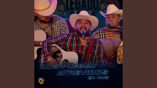 Los Plebes Atrevidos En Vivo [upl. by Desimone348]