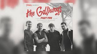 You Came Walking by The Golliwogs from Fight Fire The Complete Recordings 19641967 [upl. by Ailana]