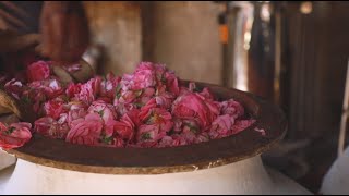 Ancient Process of Attar making in Kannauj I Raahi Parfums [upl. by Acinonrev]