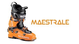 SCARPA Maestrale Ski Boots [upl. by Elaynad601]