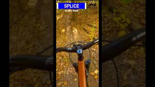 Autumn Flow MTB Riding Splice [upl. by Arelc]