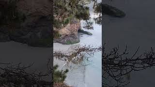 Mendocino California Headlands [upl. by Lecram]