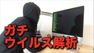 【ホワイトハッカー】メールで送られてきた本物のウイルスを解析してみた結果 [upl. by Sartin]