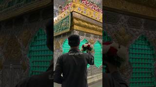 WILADAT E BIBI ZAINAB MUBARAK wiladatebibizainab bibizainab yazainabس yazainab yazainabsa [upl. by Tad]