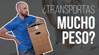 📦Rutina de EJERCICIOS para fortalecer LUMBARES si trabajas moviendo PESO [upl. by Herta644]