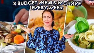 SUPER BUDGET MEALS I EAT EVERY WEEK  3 Family Meals We Eat All The Time  Aldi Meals 2024 [upl. by Llehcor336]