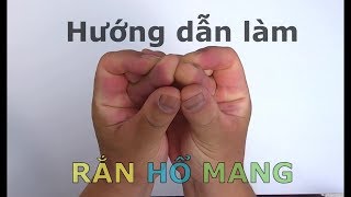 Hướng dẫn làm RẮN HỔ MANG bằng tay [upl. by Encratia744]