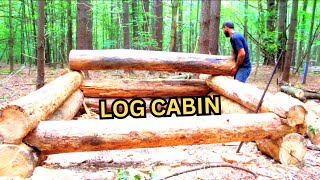 Small Log Cabin Part 1  bushcraft survival shelter [upl. by Pollyanna]