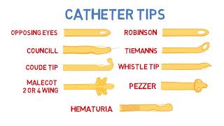 Introduction to Urinary Catheters [upl. by Marelya871]