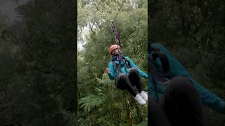 The best family activity in Rotorua New Zealand  Ziplining Adventure [upl. by Nanci435]