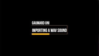 01 Gaumard UNI  Importing a wav file [upl. by Aivatco777]