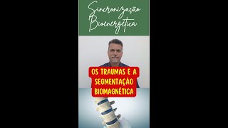 Traumas e a segmentação biomagnética [upl. by Yde]