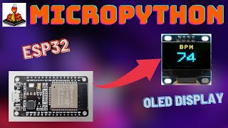 How To Use MicroPython OLED Display with the ESP32 [upl. by Siladnerb]