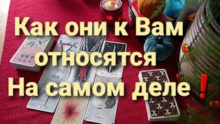 ❗Загадай двоих людей и узнай ПРАВДУ❗💥 Будущие перспективы 💯 гадание таро [upl. by Einnol827]