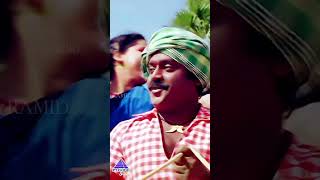 Pon Nel Yeri Video Song  Uzhavan Magan Movie Songs  Vijayakanth  Radha  ytshorts [upl. by Jaddo]