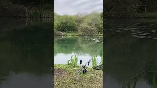 Rods out on the Money fishing carpfishing fypシ fyp fypシ゚viral [upl. by Meta425]