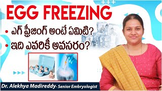 ఎగ్ ఫ్రీజింగ్  Egg Freezing Procedure in Telugu  Oocyte Cryopreservation  Top Fertility Doctors [upl. by Aikemal917]