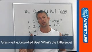 Weight Loss Nutrition The quotGrass Fed Beef Scamquot [upl. by Elleynad]