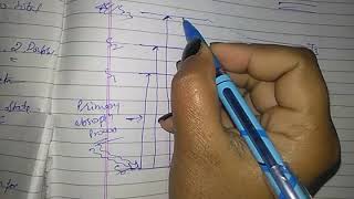 Jablonski diagram  Chem kinetics lect 14 by cs [upl. by Yelloh]