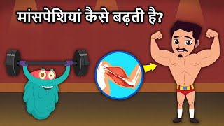 मांसपेशियां कैसे बढ़ती है  How Your Muscles Grow In Hindi  Dr Binocs Show [upl. by Houghton]