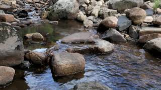 5min Relaxing Water Flowing Sound  River Nature Sounds Short Meditation WO Music  Running Stream [upl. by Deena]