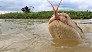 Aghast  A man was attacked by a giant 500kg python monster in the lake behind his house  anaconda [upl. by Nayrda]