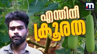 എന്തിനായിരുന്നൂ ഈ ക്രൂരത യുവകർഷകന്റെ കൃഷിയിടം സാമൂഹികവിരുദ്ധർ വെട്ടിനശിപ്പിച്ചു [upl. by Odrawde295]