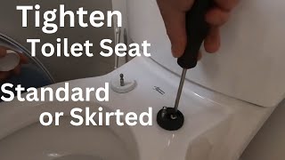 How to Tighten a Loose Toilet Seat [upl. by Arocet]