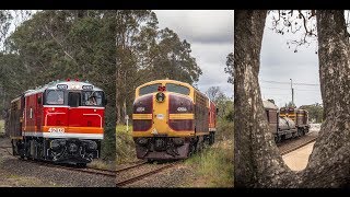 Australian EMD and ALCo Diesels at Thirlmere [upl. by Ettenig]