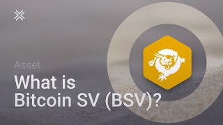 What is Bitcoin SV BSV [upl. by Larner716]