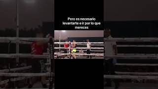 NO TE RINDAS bodybuilding boxing loquemegustaymefunciona boxeo elaguavalemasqueeloro box [upl. by Acissev]