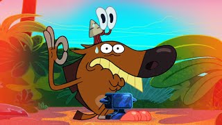 Zig amp Sharko  What a day S02E01 BEST CARTOON COLLECTION  New Episodes in HD [upl. by Roxi]