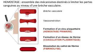 Hemato 08La physiologie de l’hémostase Dr Abbadi [upl. by Anav]