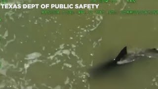 Newly released aerial video shows shark that attacked beachgoers [upl. by Bo211]