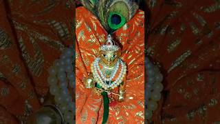 Mare laddu gopal 🪷🪷 shorts kanhaiya krishna laddugopal [upl. by Ecila]