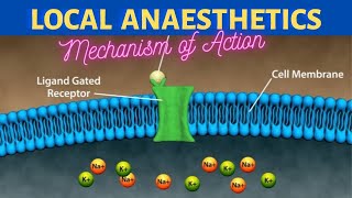 Mechanism of Action of Local Anaesthetics [upl. by Uriel]