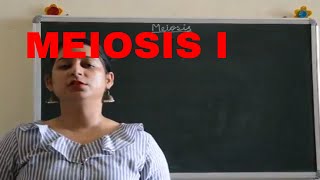 MEIOSIS I Easy explanation BIOLOGY  ICSE CBSE Board Exams [upl. by Rein265]