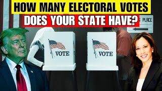 Electoral Votes Explained How Much Electoral Votes Does Your State Have [upl. by Esirec]