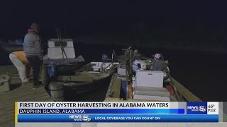 Mobile County Oystermen hoping for good season [upl. by Yspyg]