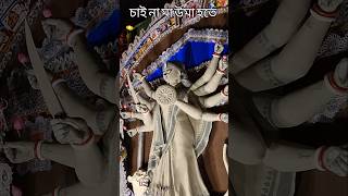 চাই না মা উমা হতে  পূজা theme crvlogs trending viral arijitsingh uma durgapuja avaya [upl. by Esinad]