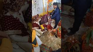 Chunari rasam 0divloveammu wedding love shadi marriage happy shaadi [upl. by Macdonald502]