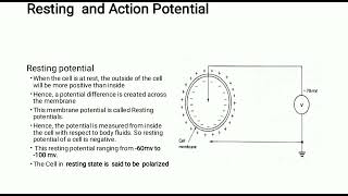 Orgin of biopotentialMedical electronicsBasics of biomedical instrumentation5th sem ECE and EEE [upl. by Nylinej]