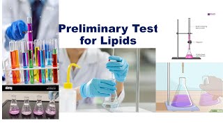 Preliminary Test for Lipids [upl. by Hughes604]