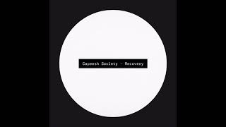 Capeesh Society  Recovery [upl. by Marpet]